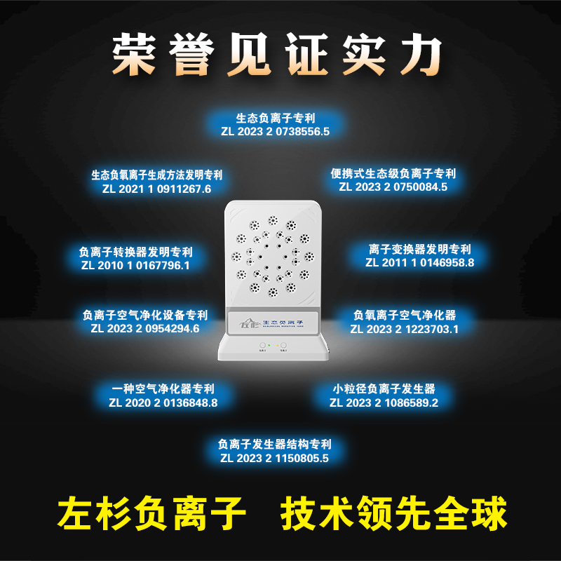 负离子（荣誉见证实力）白色800X800.jpg