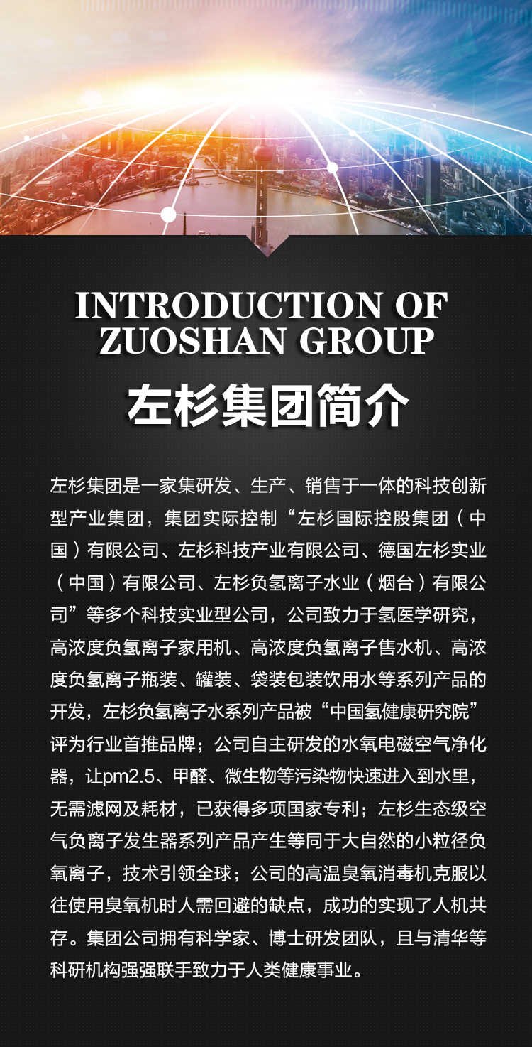 左杉集团简介.jpg
