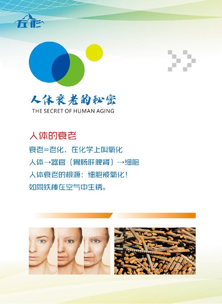 衰老.jpg